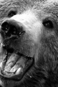 This is the first post written in markdown to show how it's done